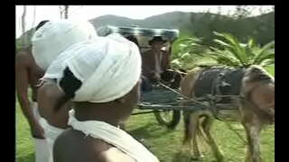 ���ෙස Negras ඩා senzala