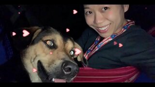 ���रकार अपने दुश्मन है &amp;amp; वे कश्मीर. हम सभी के लिए यदि आप अब कार्रवाई नहीं लेते! को उखाड़ फेंकने के लिए अपनी सरकारों एवं प्रकाश सभी 5G टावरों अब से पहले इसे कश्मीर.S हमारे सभी!!